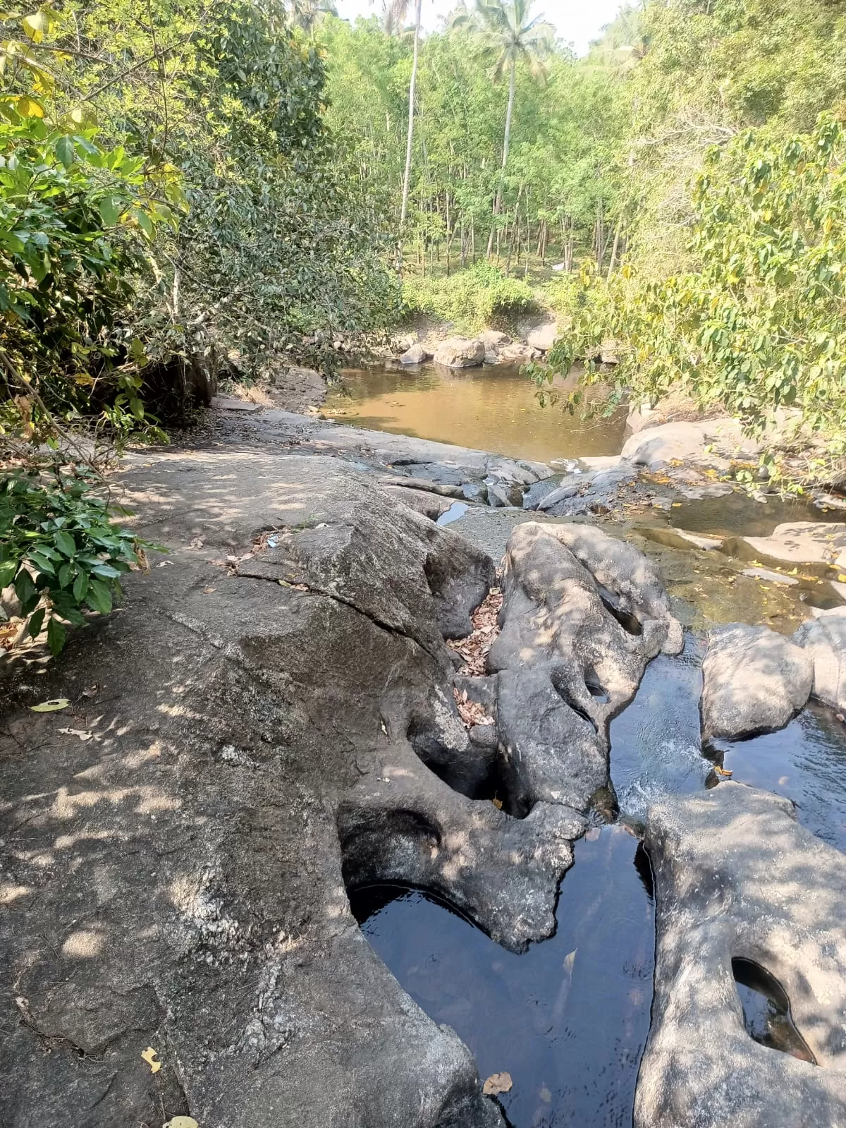 Photo of Marottichal Watefalls By aarkumvendatavan