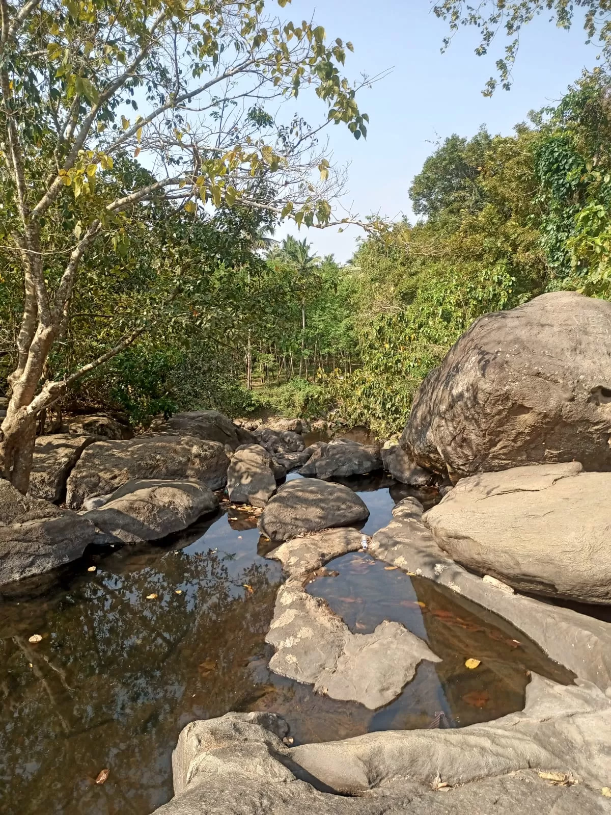 Photo of Marottichal Watefalls By aarkumvendatavan