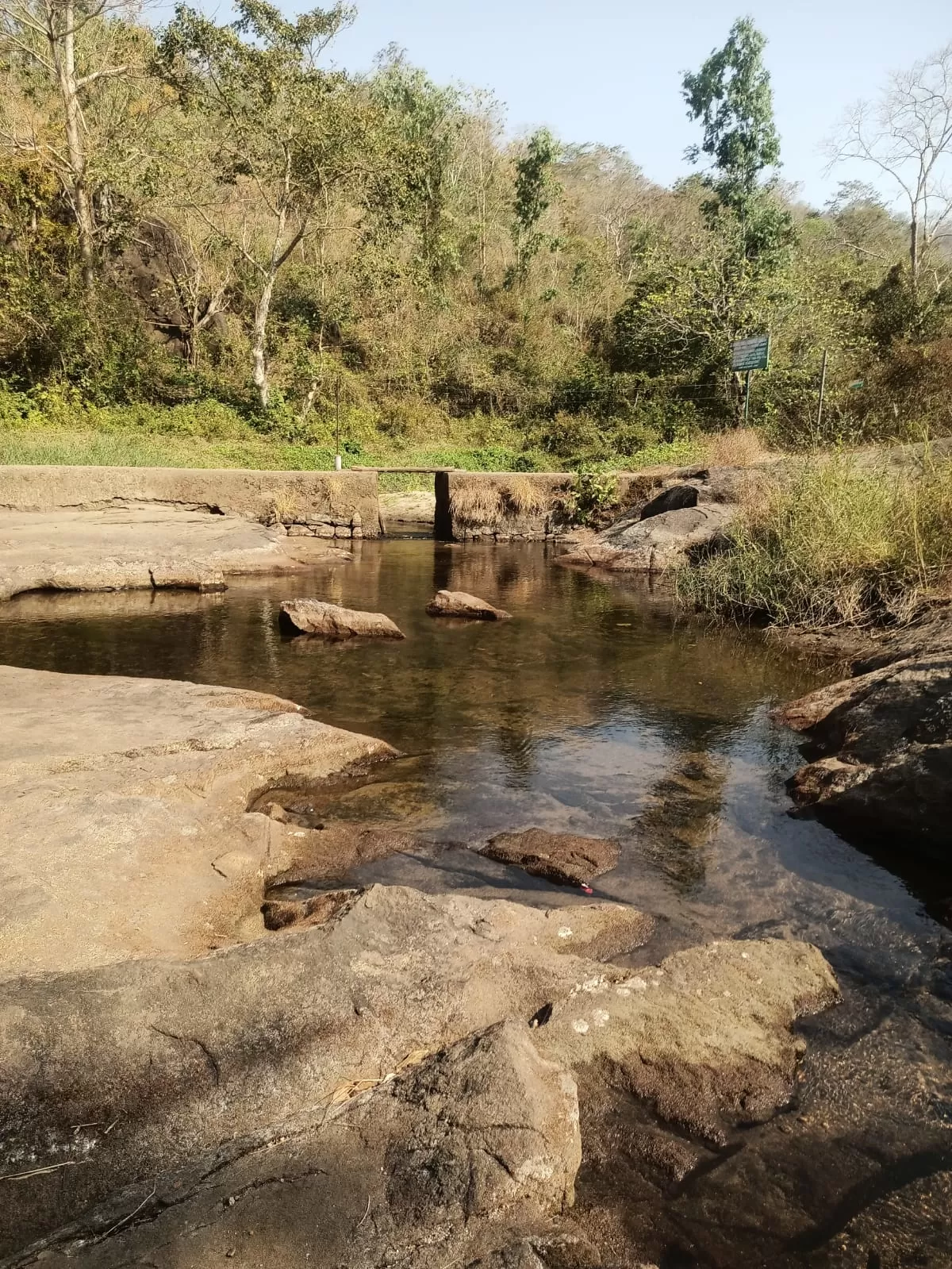 Photo of Marottichal Watefalls By aarkumvendatavan
