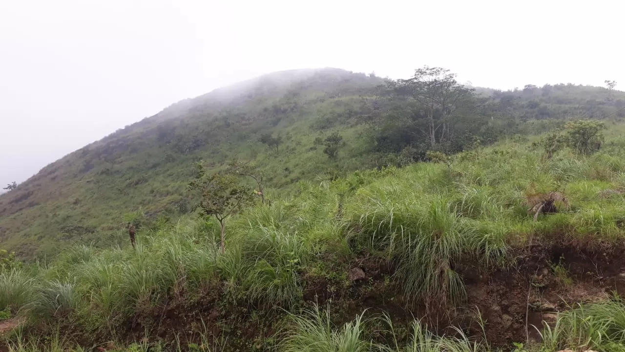 Photo of Illikkal By aarkumvendatavan