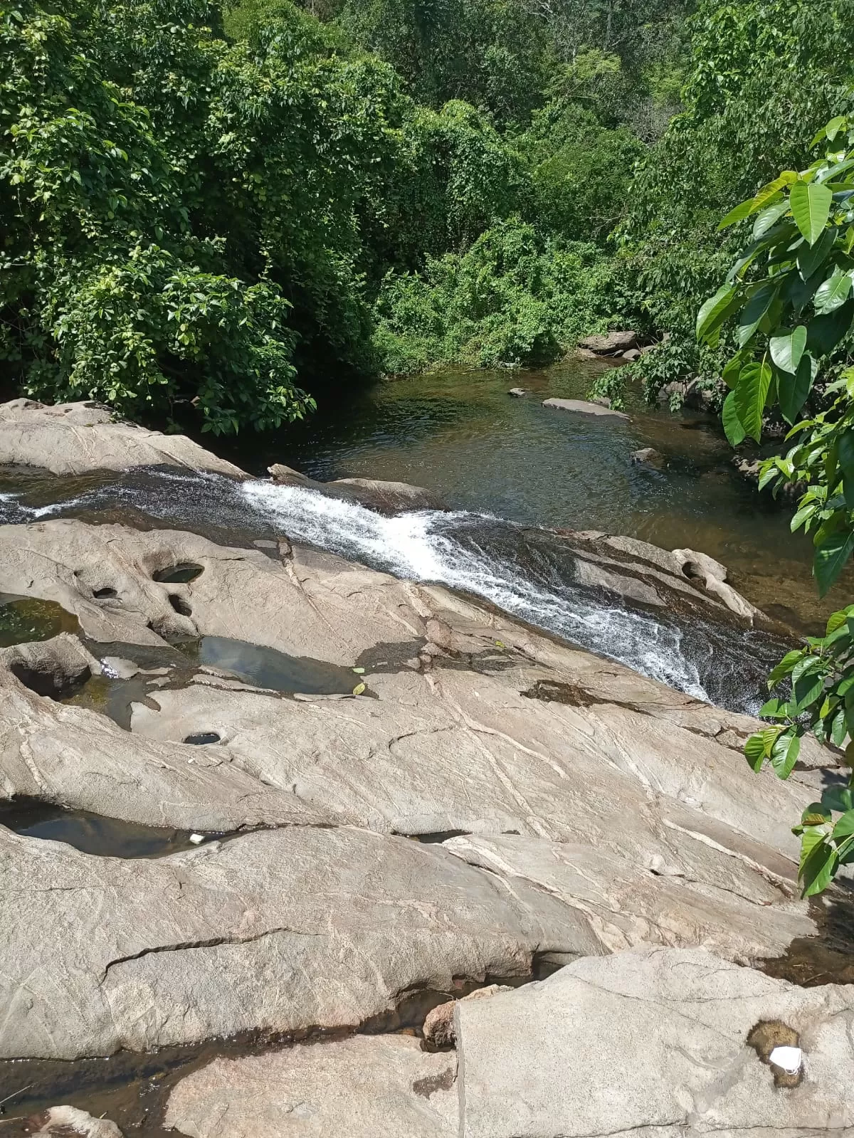 Photo of Marottichal Watefalls By aarkumvendatavan