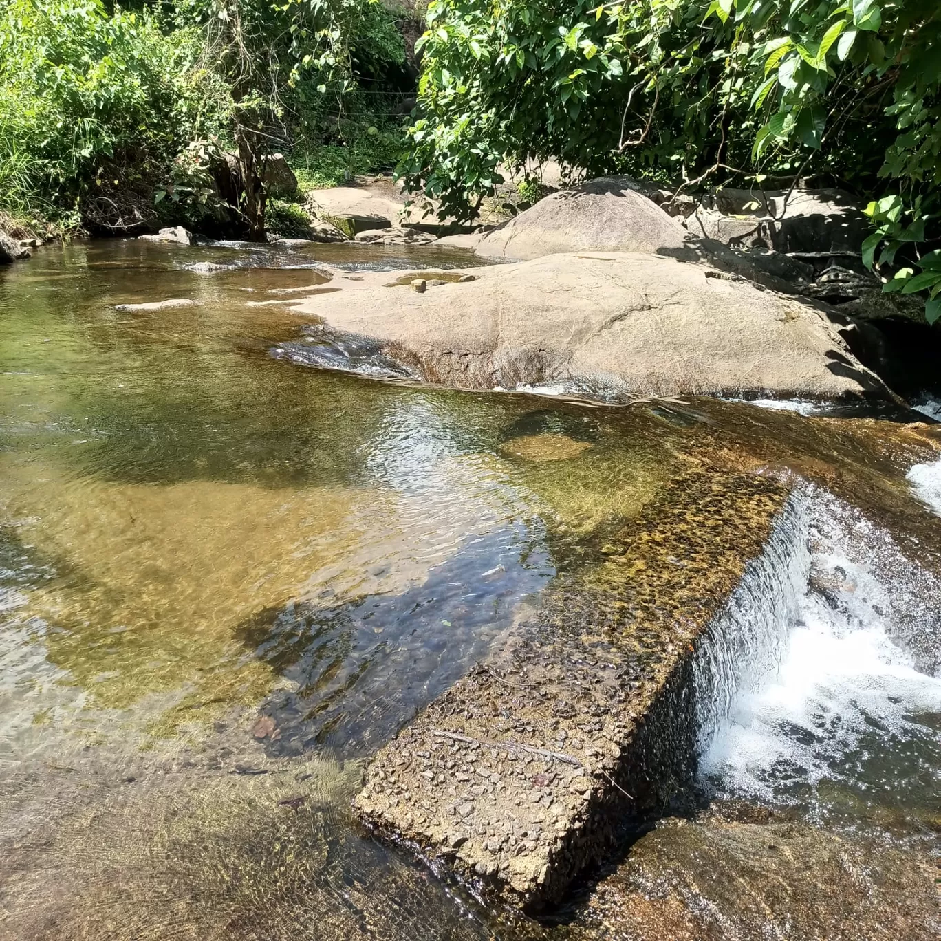Photo of Marottichal Watefalls By aarkumvendatavan
