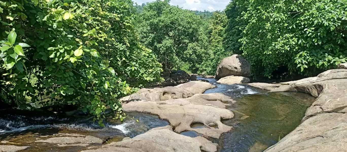 Photo of Marottichal Watefalls By aarkumvendatavan