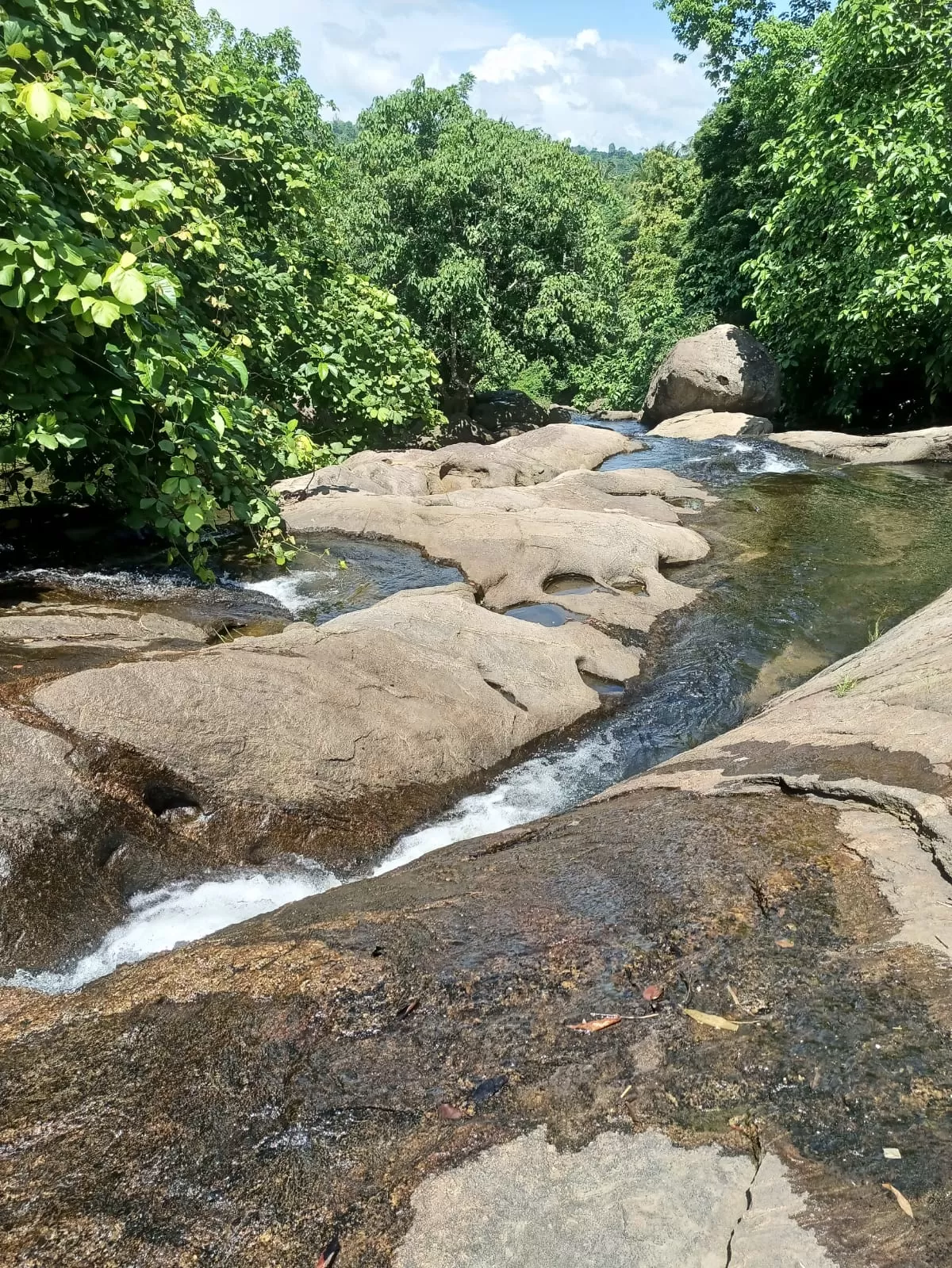 Photo of Marottichal Watefalls By aarkumvendatavan