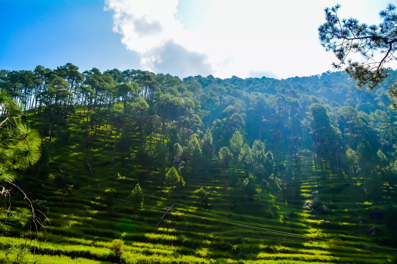 Photo of A trip to Nainital, Kausani and Ranikhet.... By Kalraa Deepakk