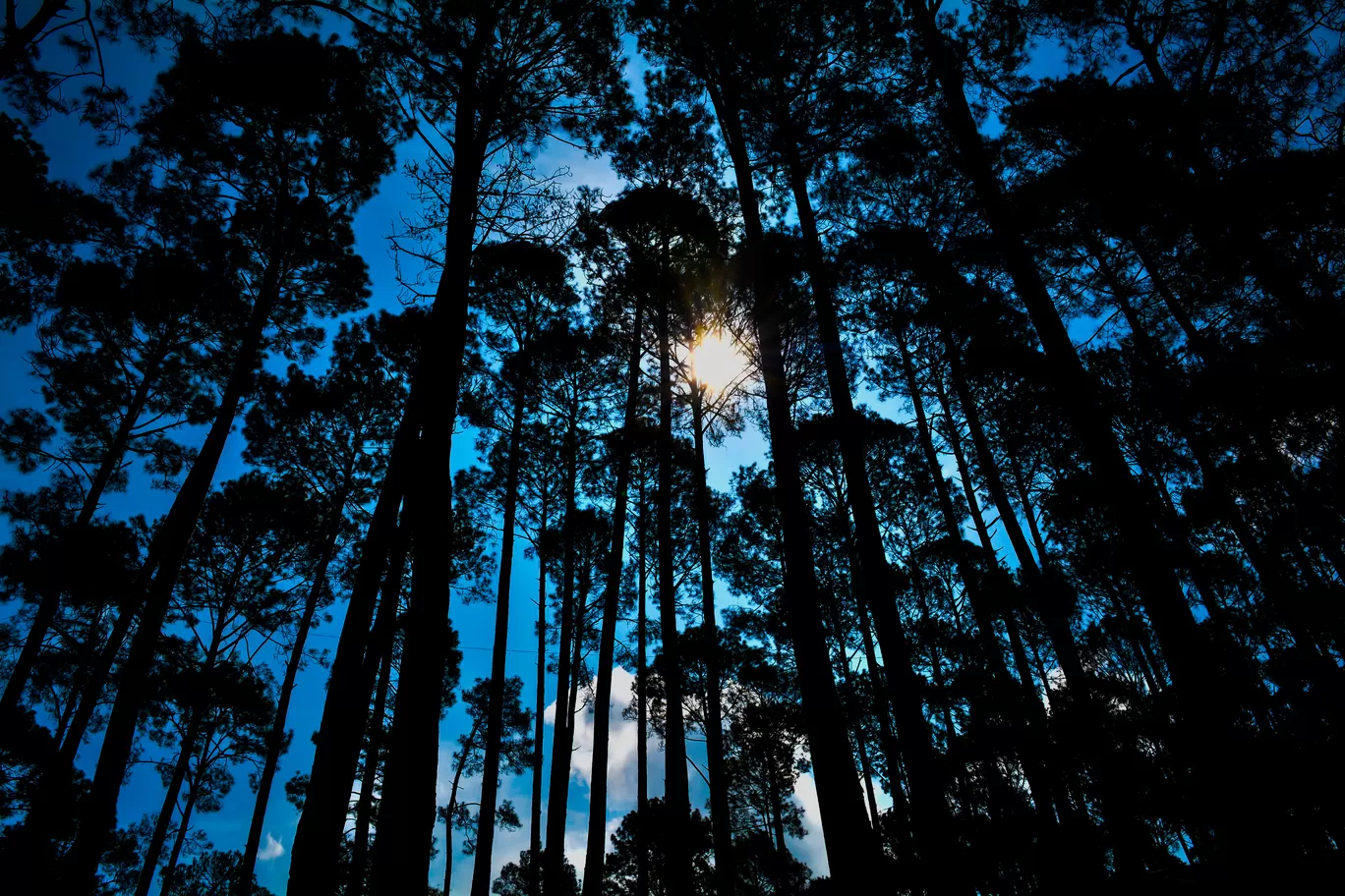 Photo of A trip to Nainital, Kausani and Ranikhet.... By Kalraa Deepakk