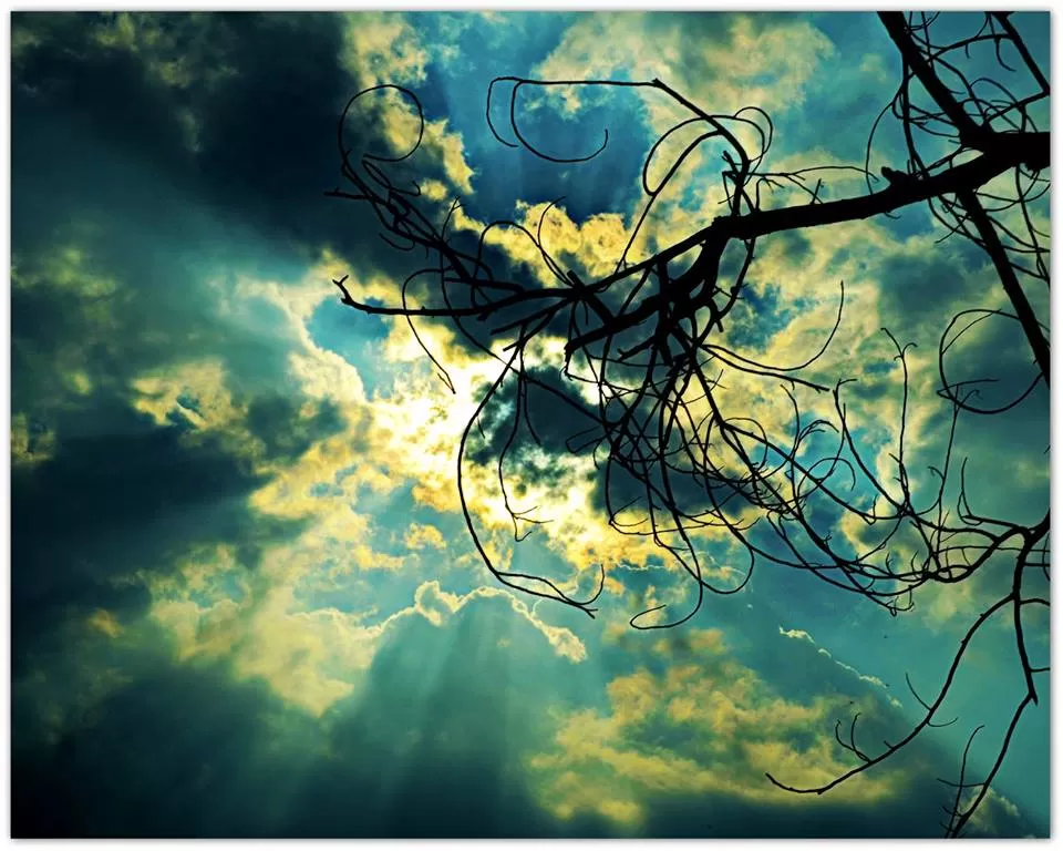Photo of Assam By Kalraa Deepakk