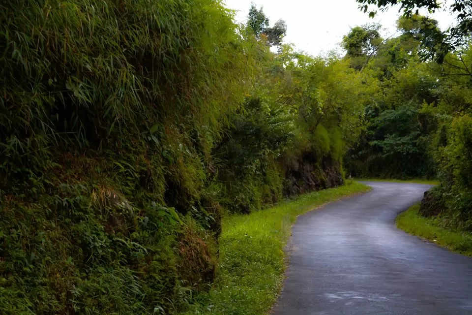 Photo of Assam By Kalraa Deepakk