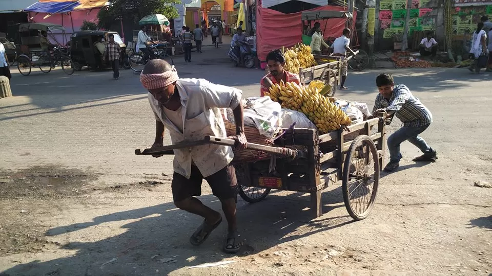Photo of Assam By Kalraa Deepakk