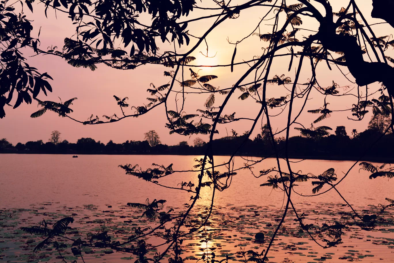 Photo of Assam By Kalraa Deepakk