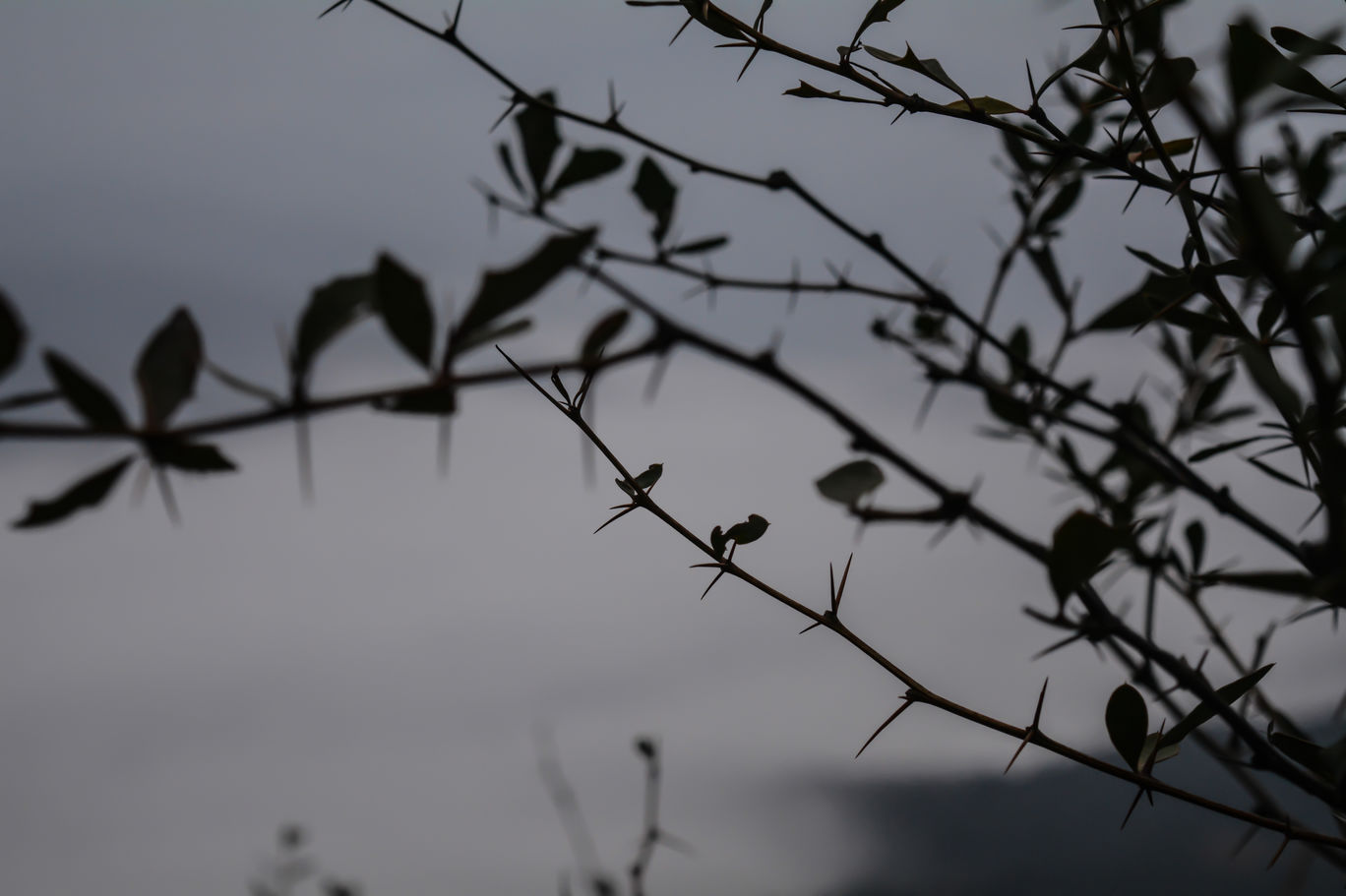 Photo of Random Trip to Chakrata By Kalraa Deepakk