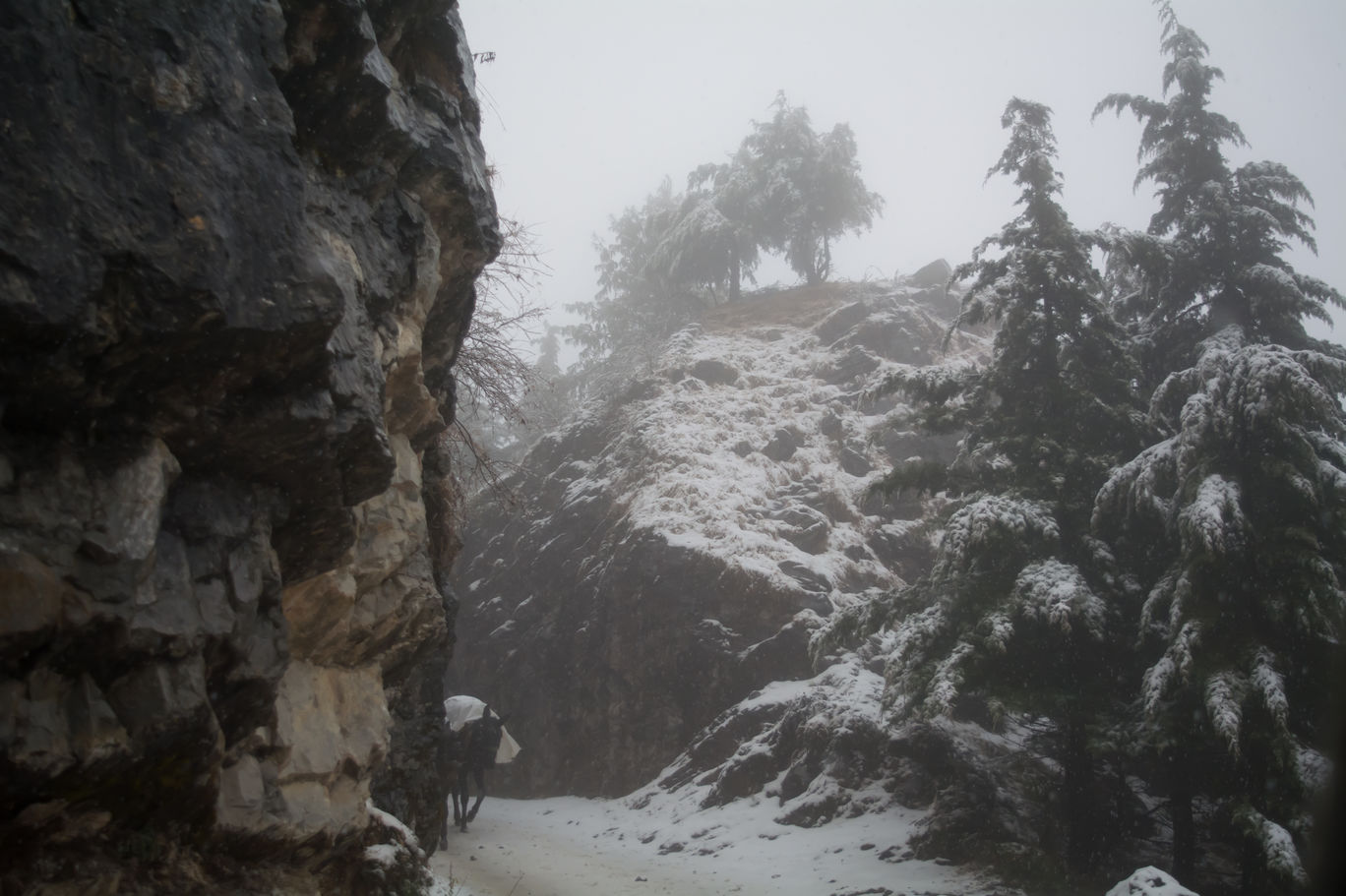 Photo of Random Trip to Chakrata By Kalraa Deepakk