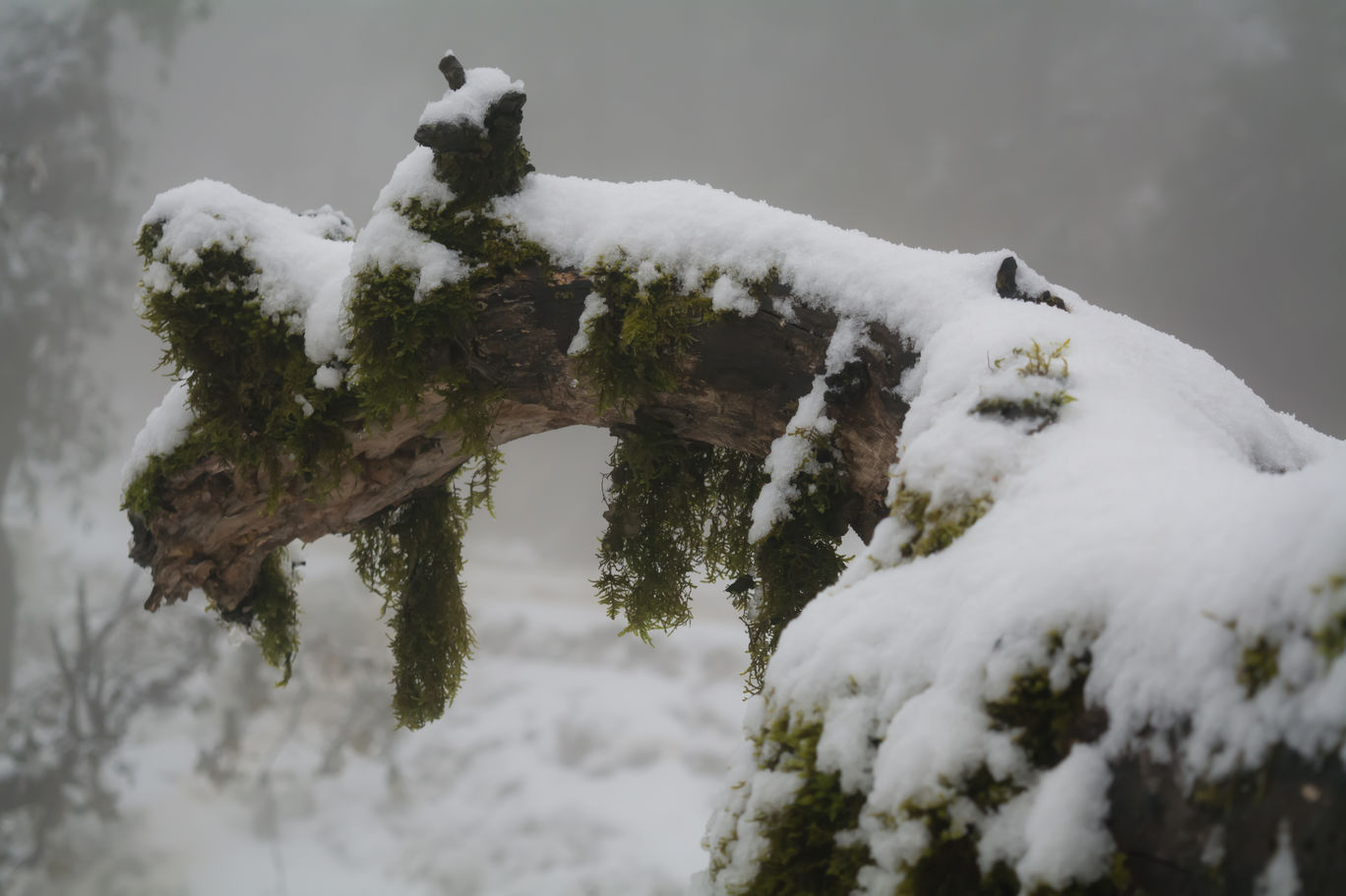 Photo of Random Trip to Chakrata By Kalraa Deepakk