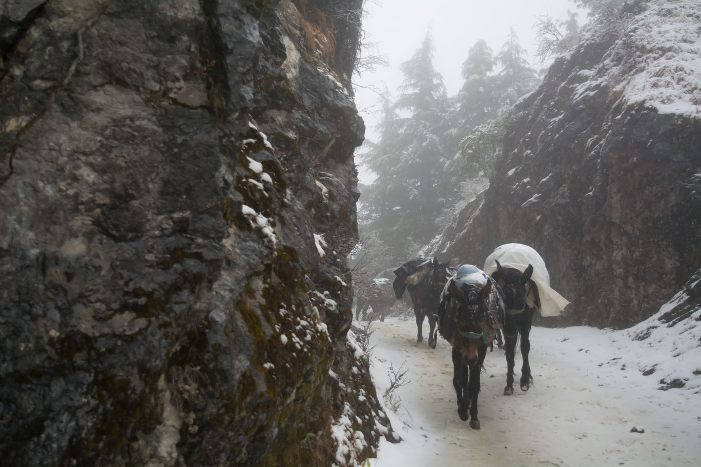Photo of Random Trip to Chakrata By Kalraa Deepakk