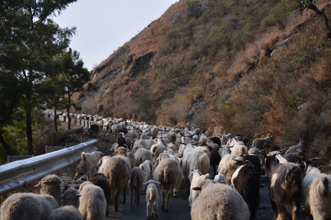 Photo of Random Trip to Chakrata By Kalraa Deepakk