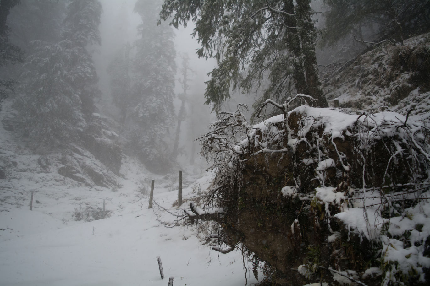 Photo of Random Trip to Chakrata By Kalraa Deepakk