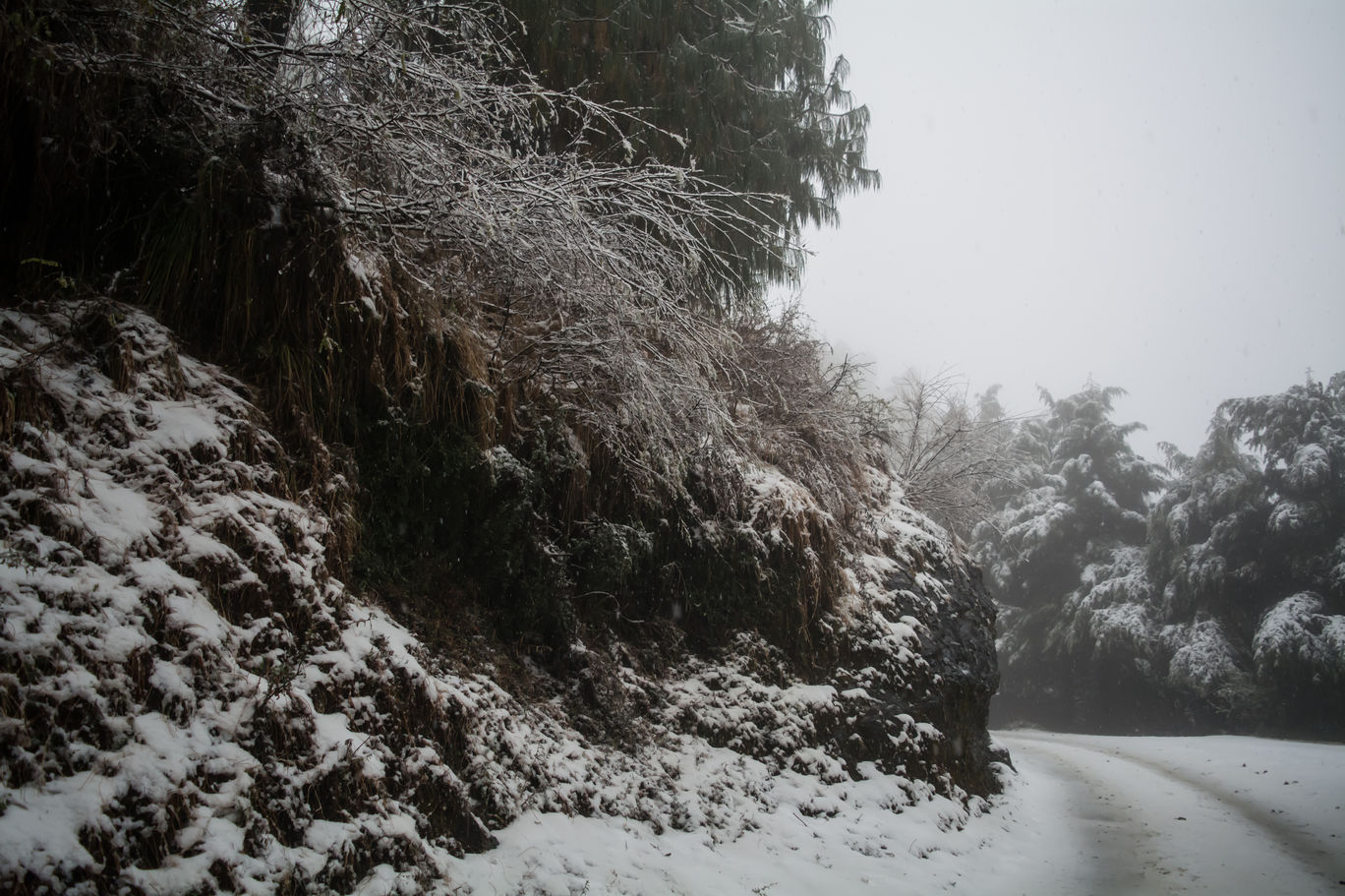 Photo of Random Trip to Chakrata By Kalraa Deepakk