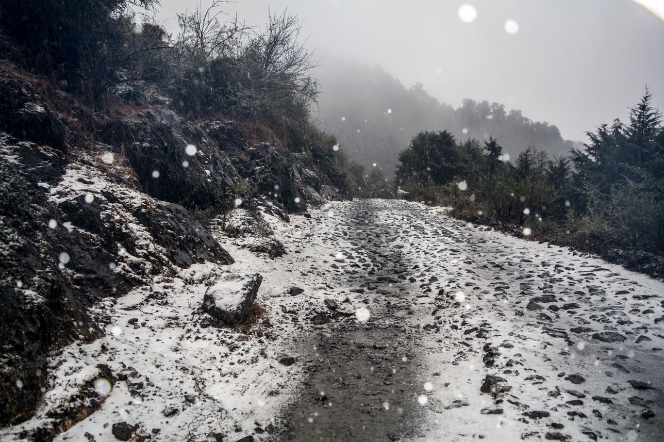 Photo of Random Trip to Chakrata By Kalraa Deepakk