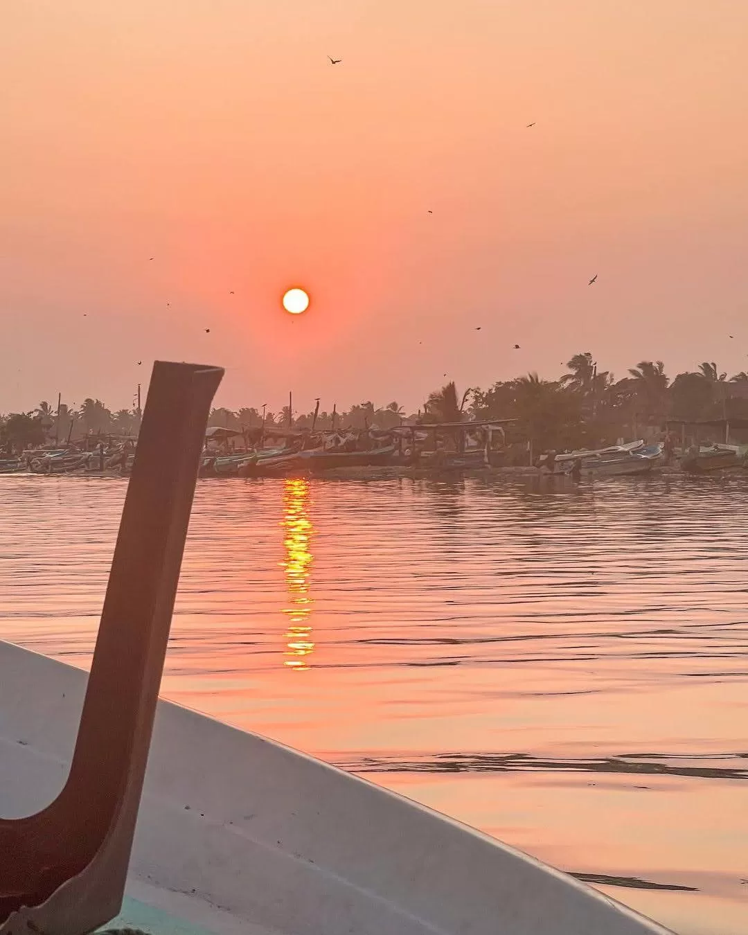 Photo of Negombo By Premil Shasendra