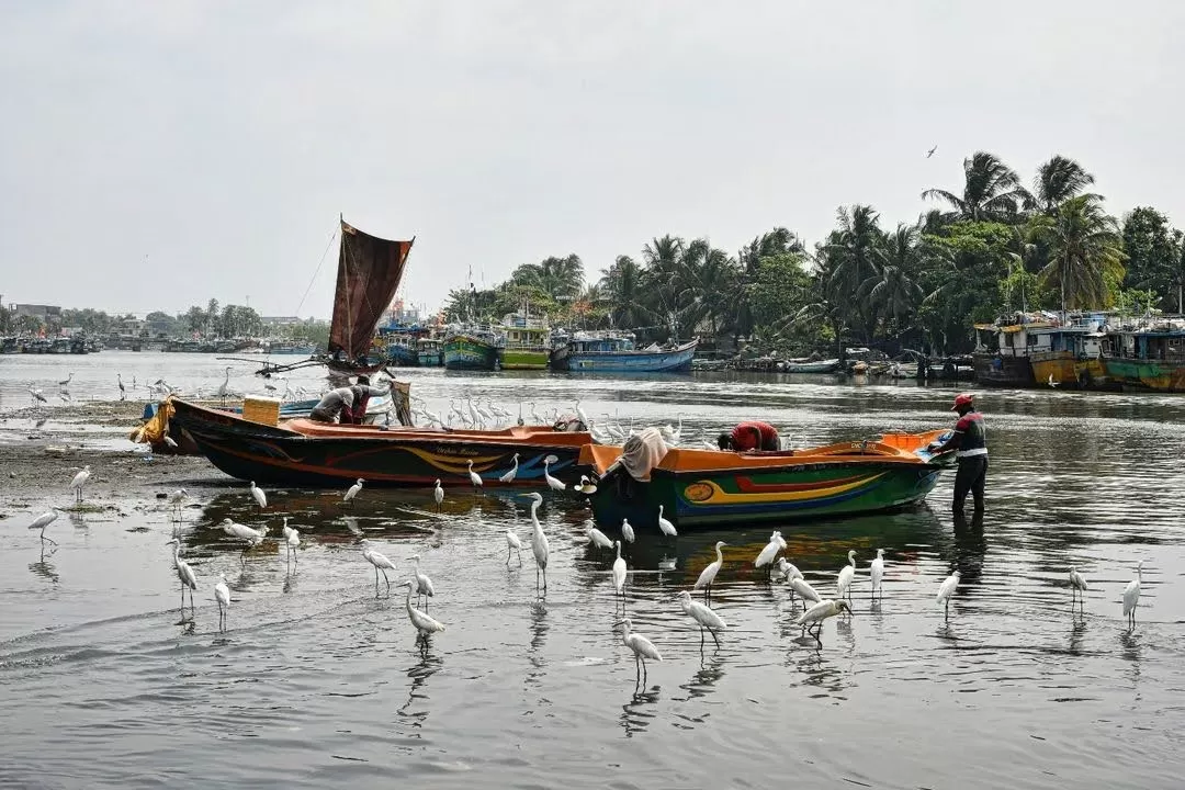 Photo of Negombo By Premil Shasendra
