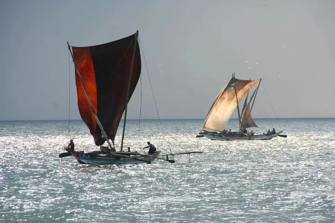 Photo of Negombo By Premil Shasendra