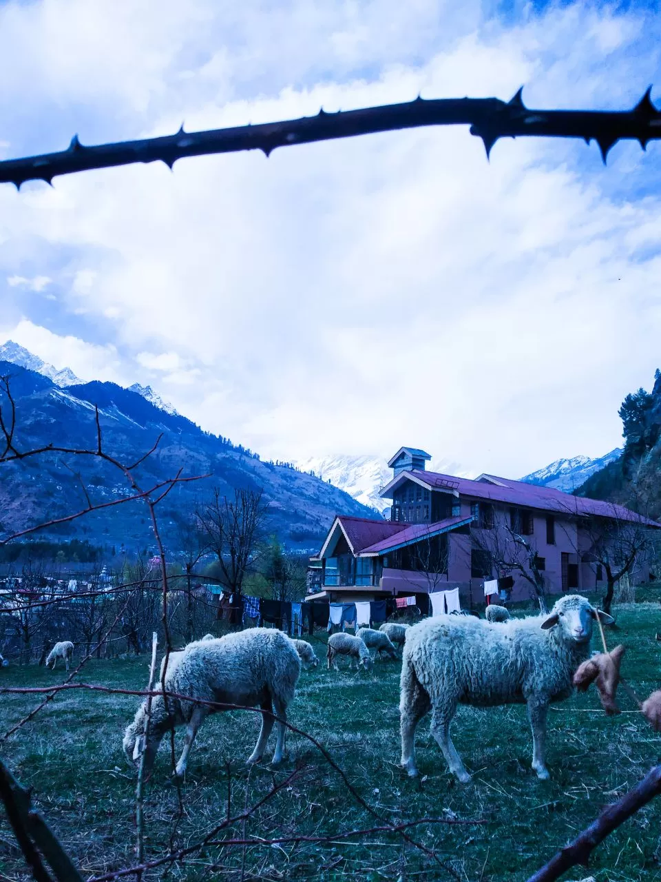 Photo of Old Manali By Aditya Singh Gaur