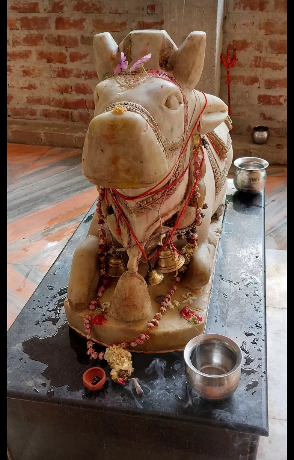 Photo of Paudiwala Shiv Temple By sonal Sharma 