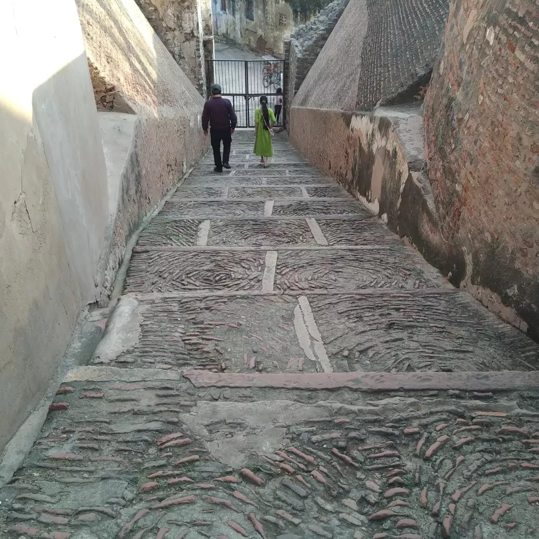 Photo of Lohagarh Fort By sonal Sharma 