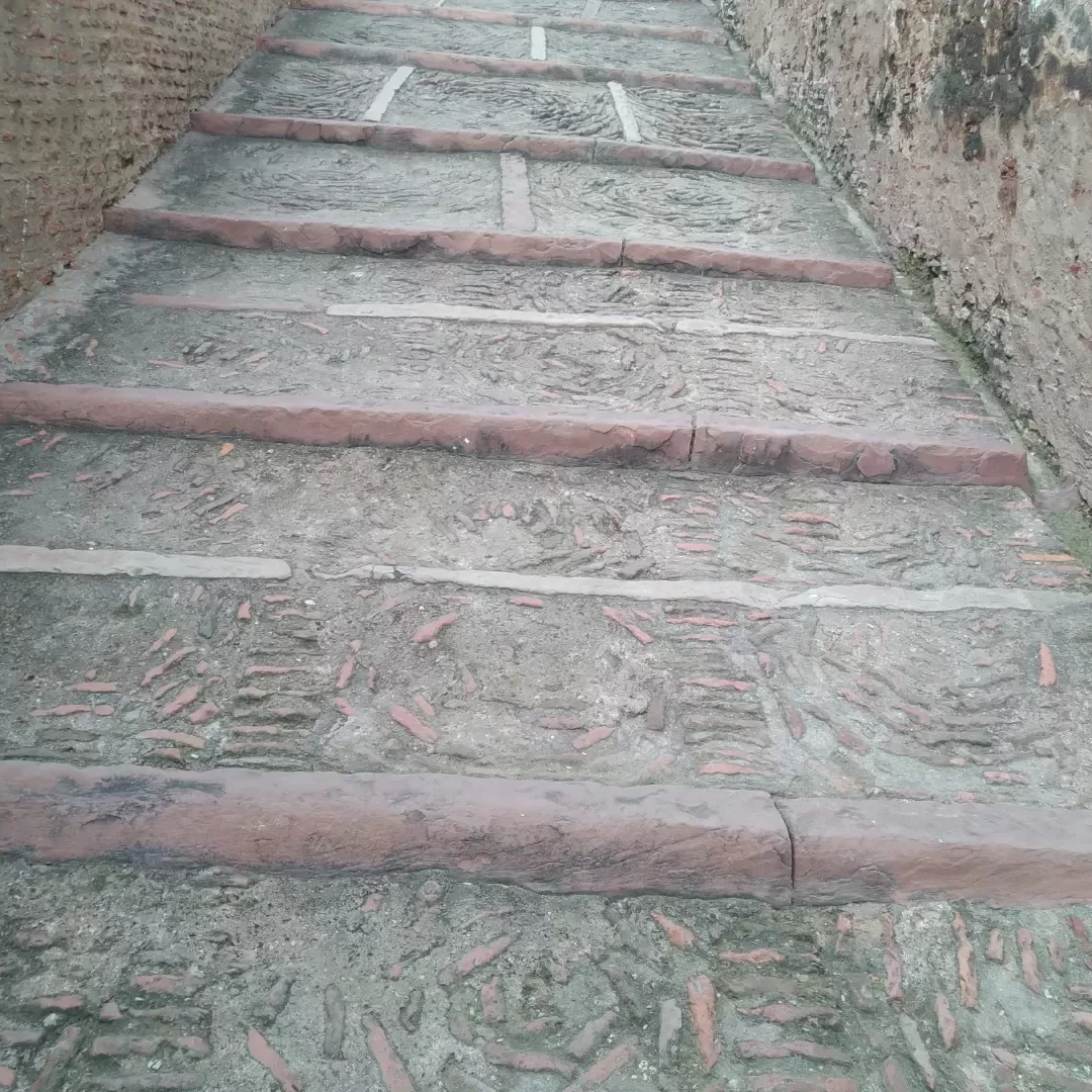 Photo of Lohagarh Fort By sonal Sharma 