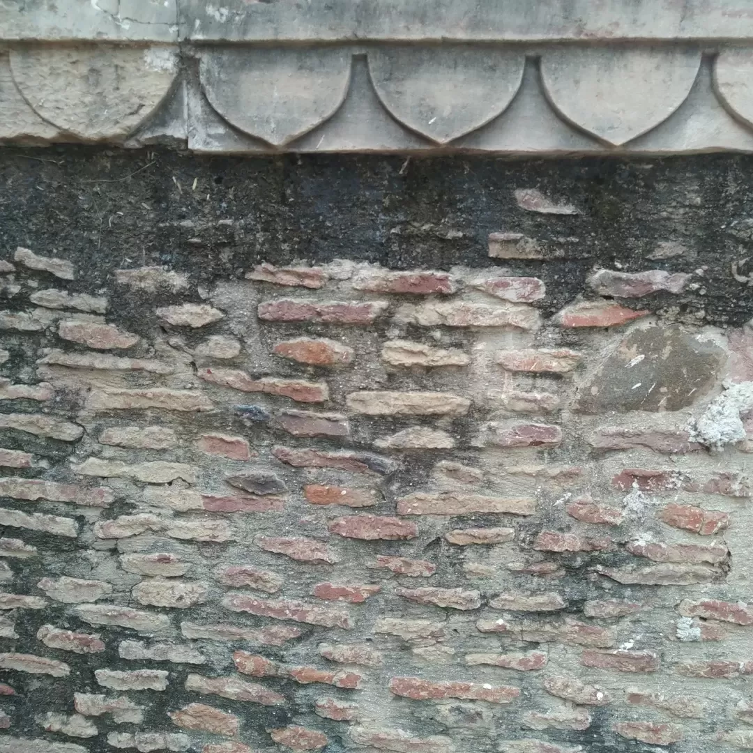 Photo of Lohagarh Fort By sonal Sharma 