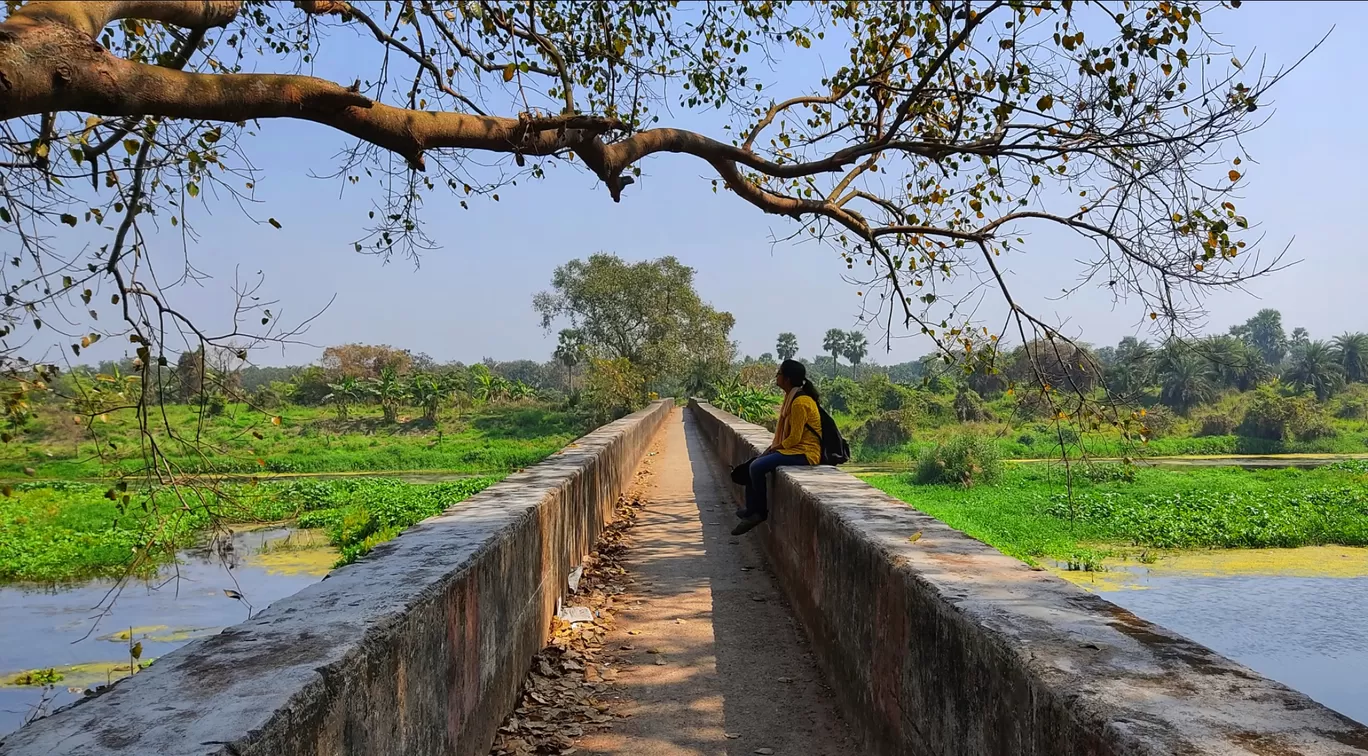 Photo of Baidyabati Dvc Khal ( Bird Watching Area ) By BackPack Story