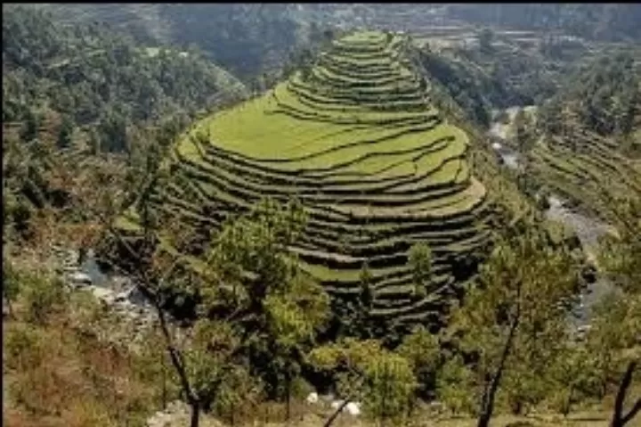 Photo of Ranikhet By Sushant Verma