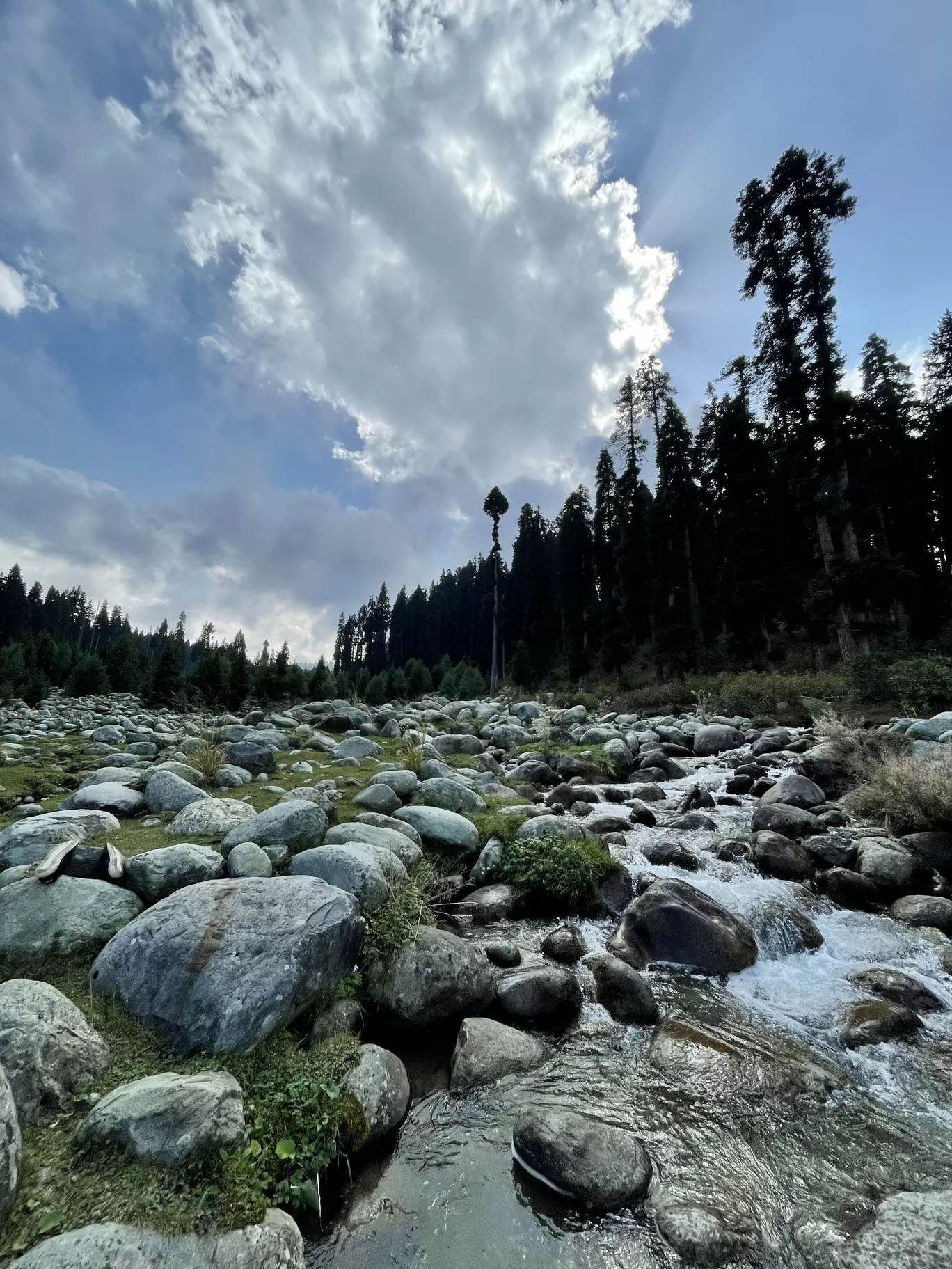 Photo of Srinagar By Tanvi Shah (travelstoriesbytan)