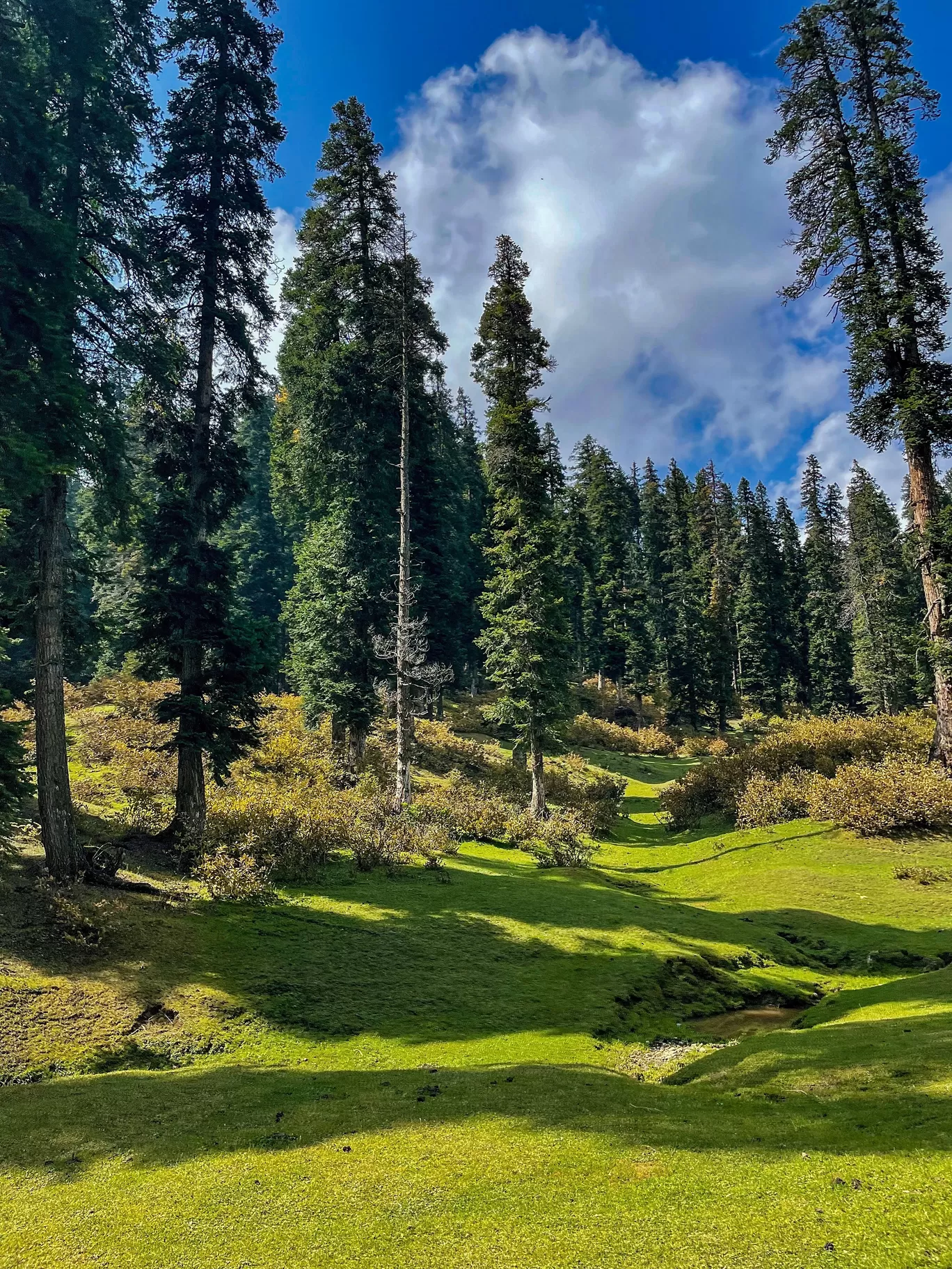 Photo of Doodh Pathari دودھ پتھری By Tanvi Shah (travelstoriesbytan)