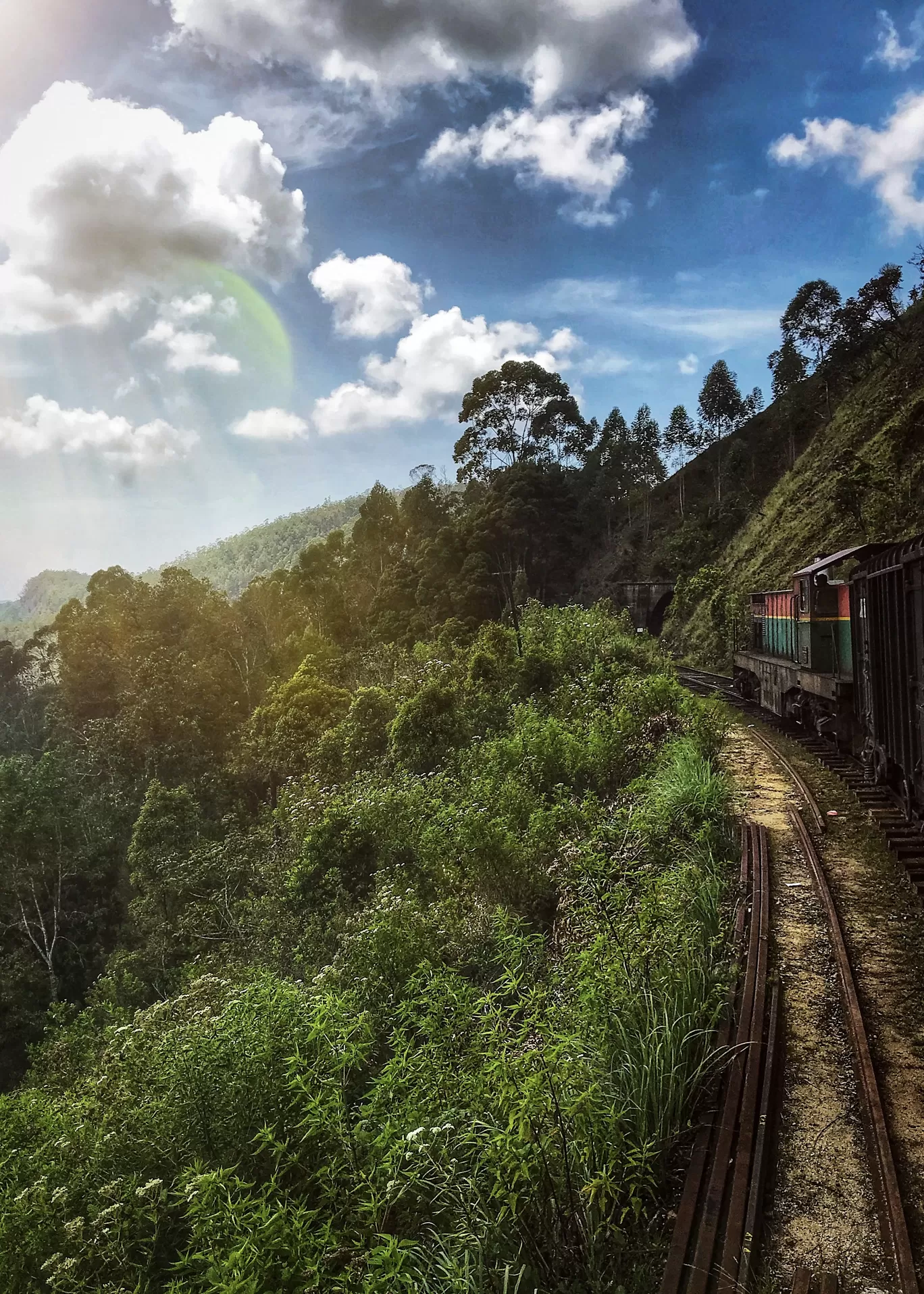 Photo of Ella By Tanvi Shah (travelstoriesbytan)