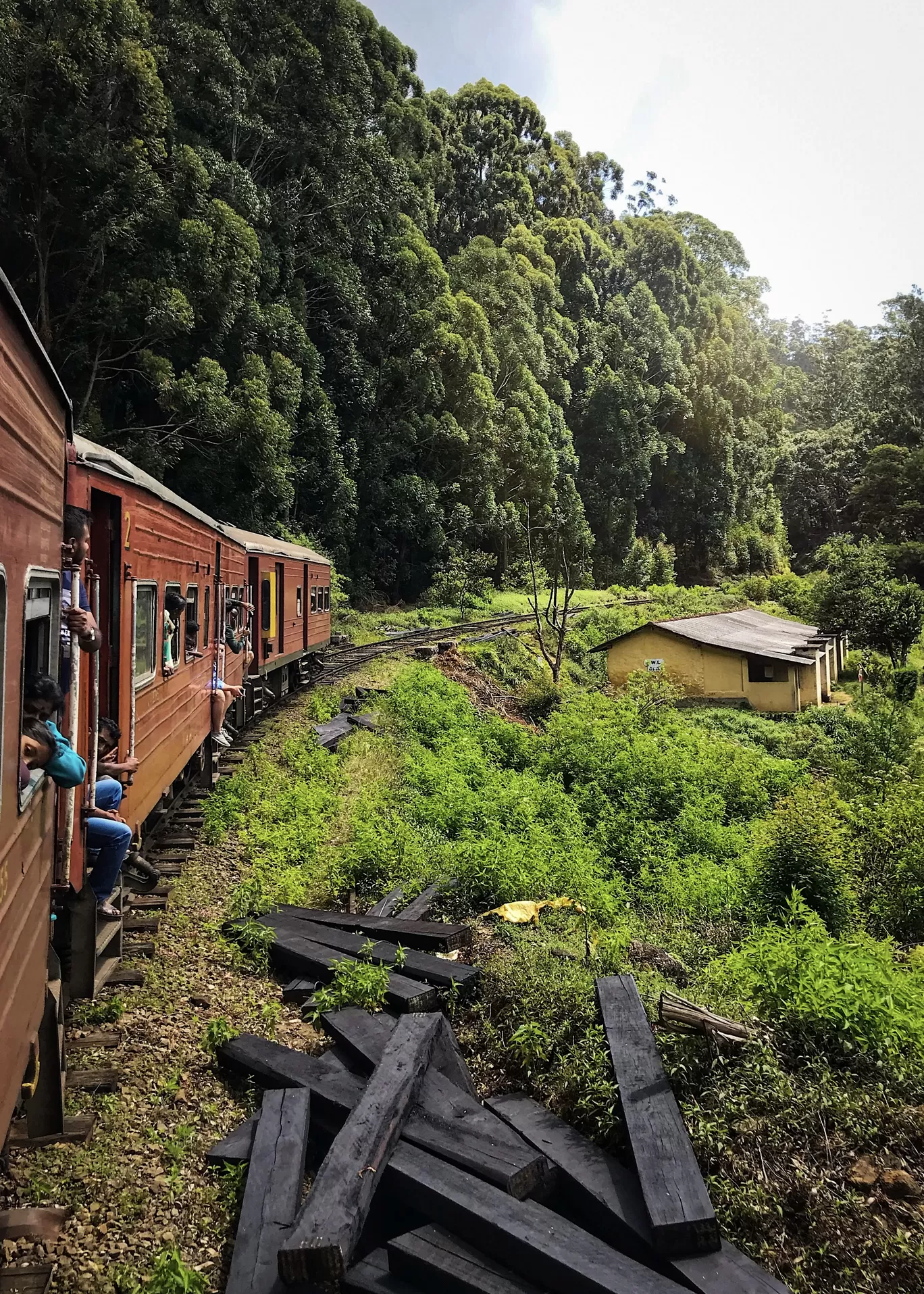 Photo of Ella By Tanvi Shah (travelstoriesbytan)