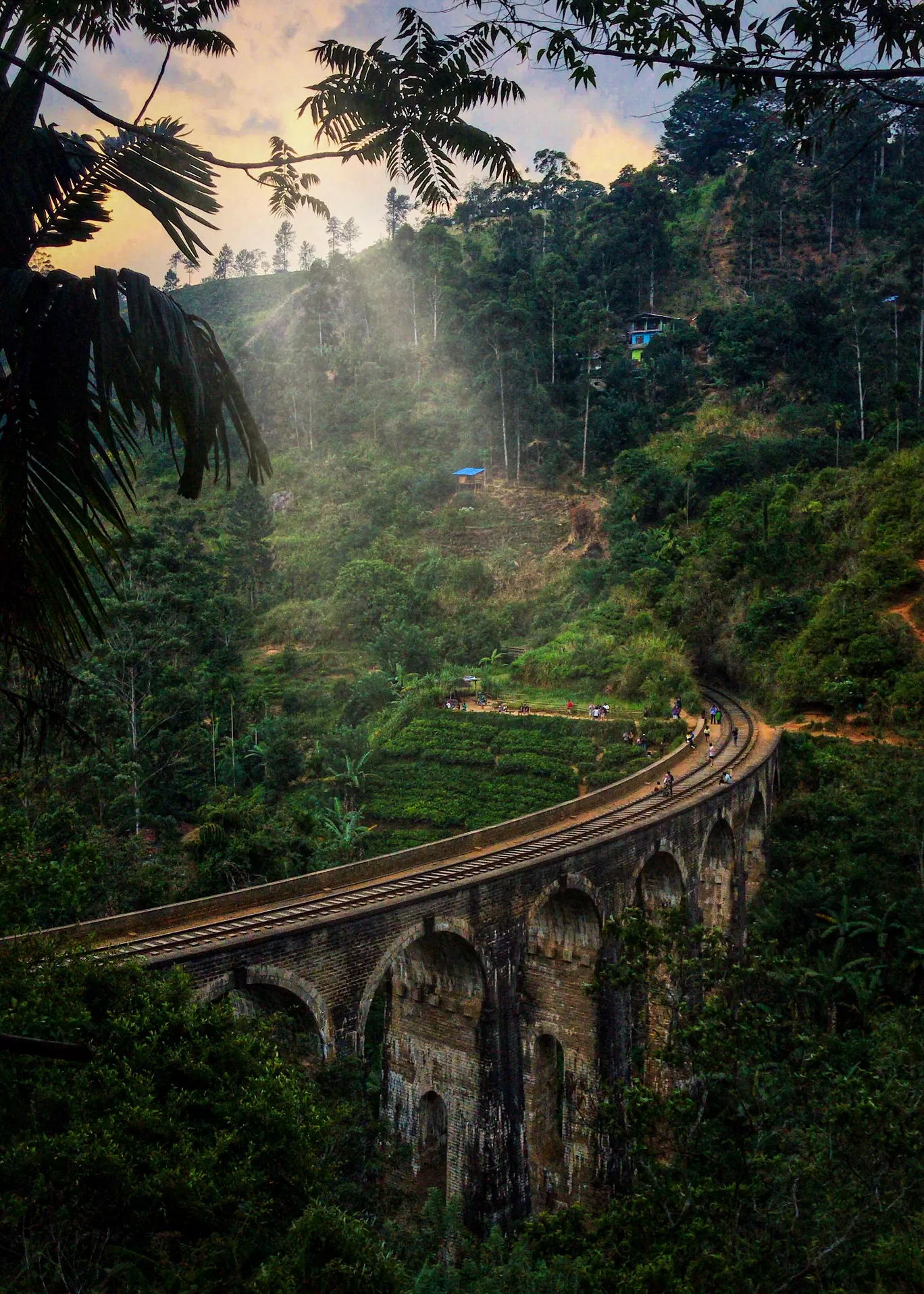 Photo of Ella By Tanvi Shah (travelstoriesbytan)