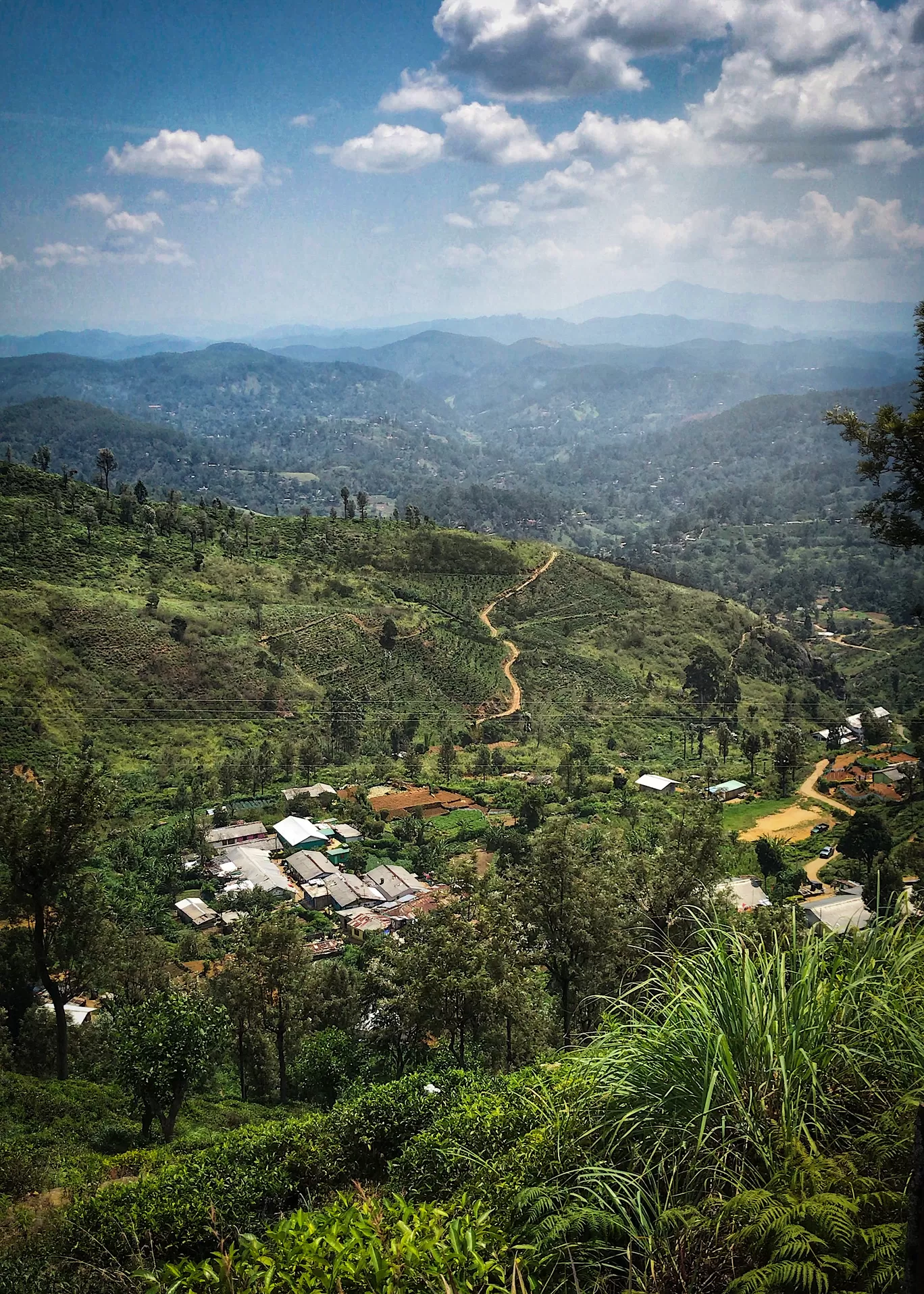 Photo of Ella By Tanvi Shah (travelstoriesbytan)