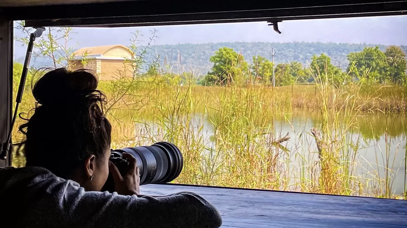 Photo of Tadoba-Andhari National Park By Tanvi Shah (travelstoriesbytan)