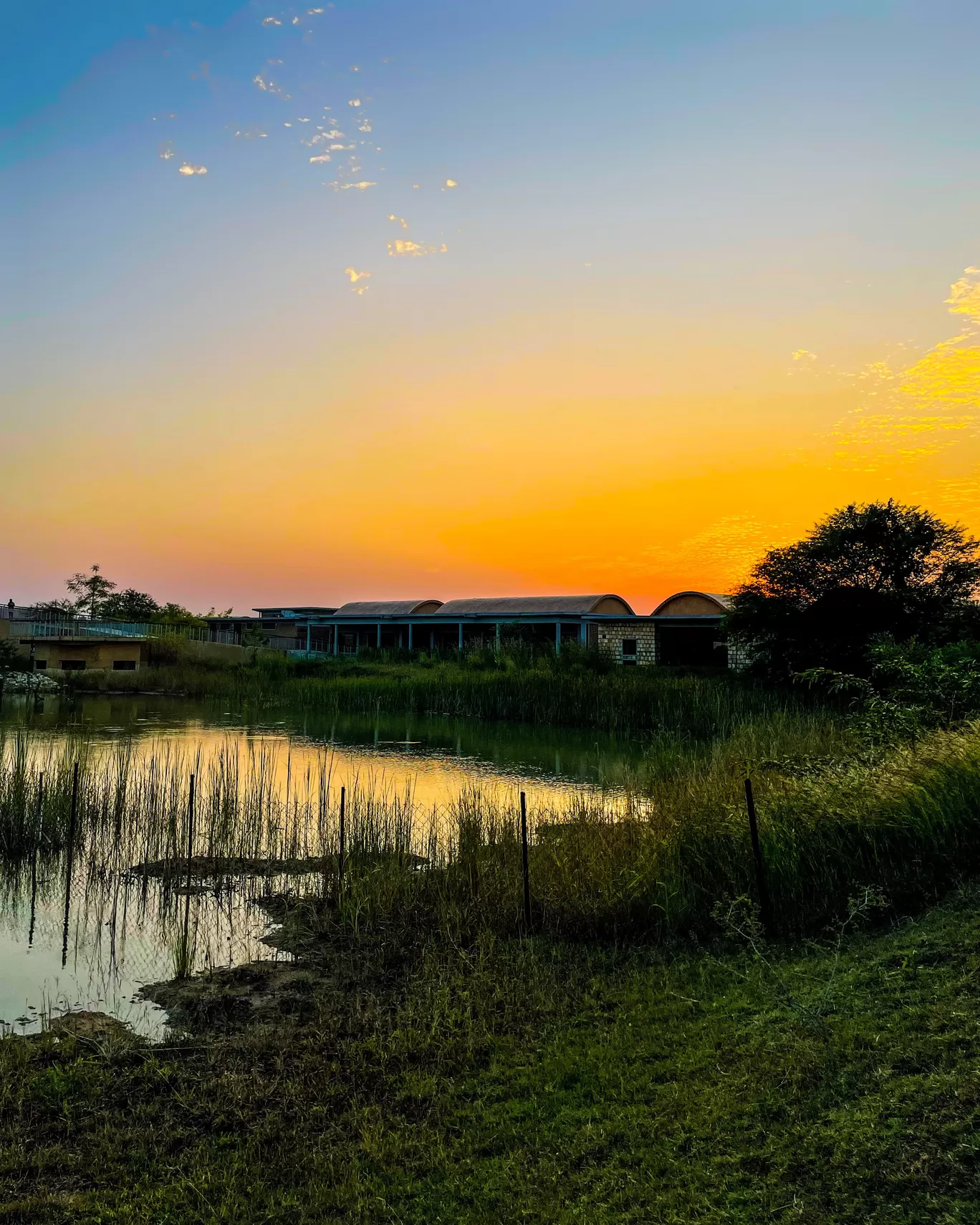 Photo of Waghoba Eco Lodge By Tanvi Shah (travelstoriesbytan)