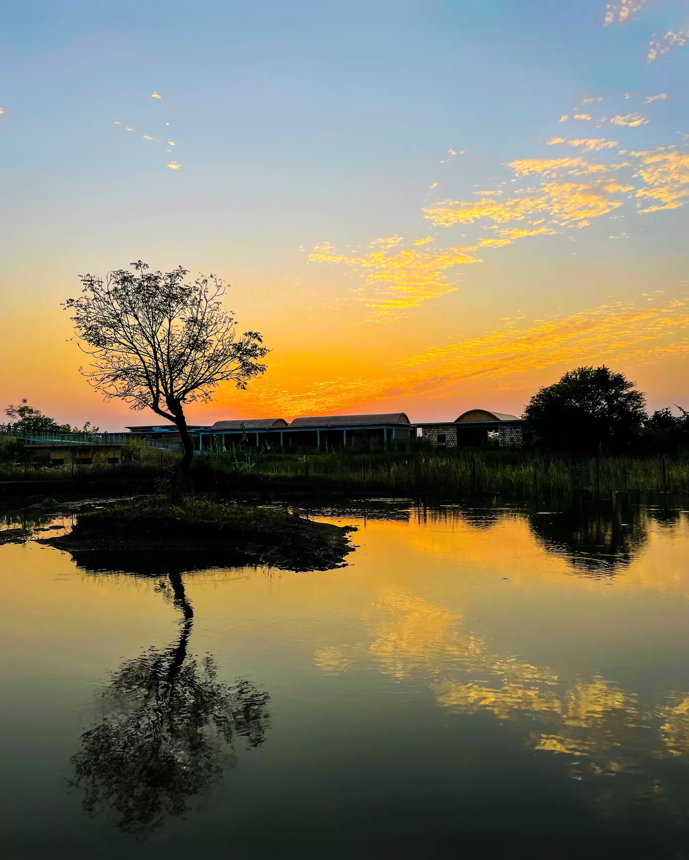 Photo of Waghoba Eco Lodge By Tanvi Shah (travelstoriesbytan)