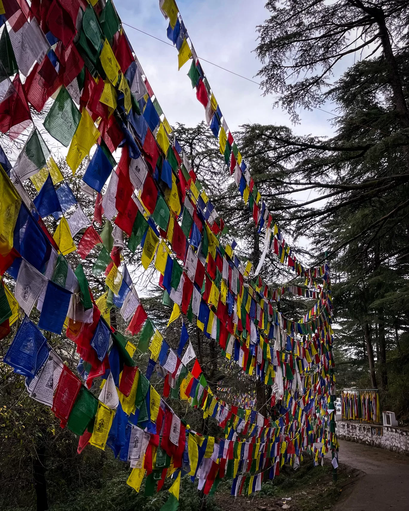 Photo of McLeod Ganj By Tanvi Shah (travelstoriesbytan)