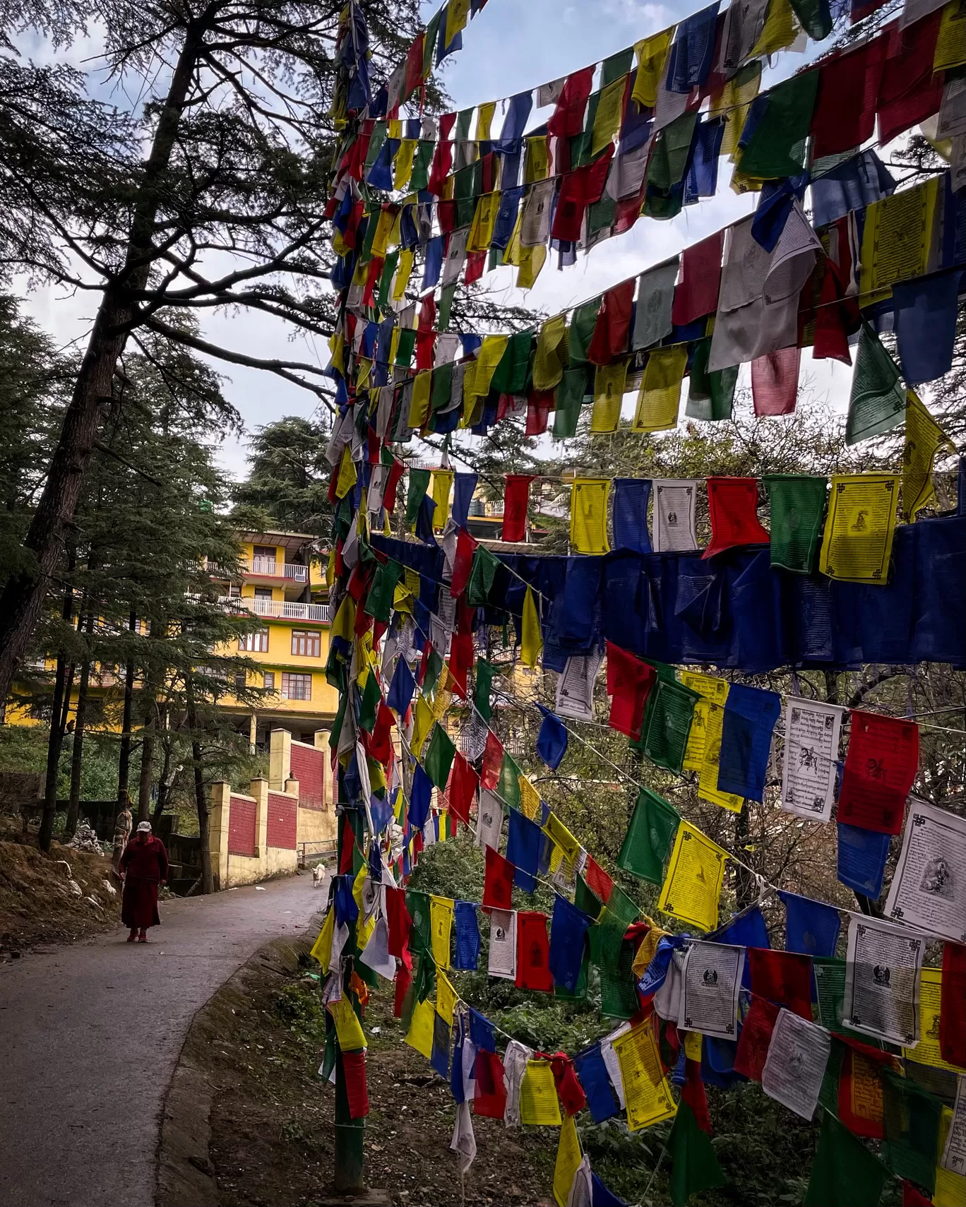 Photo of McLeod Ganj By Tanvi Shah (travelstoriesbytan)