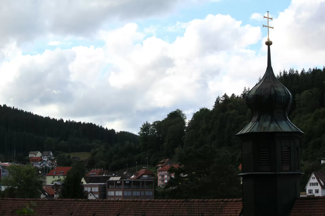 Photo of Black Forest By Santwana Rathi