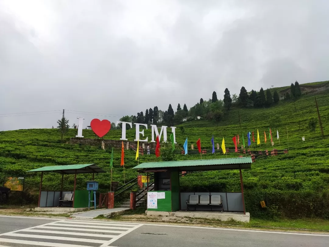 Photo of Temi Tea Estate By Trisha Barua