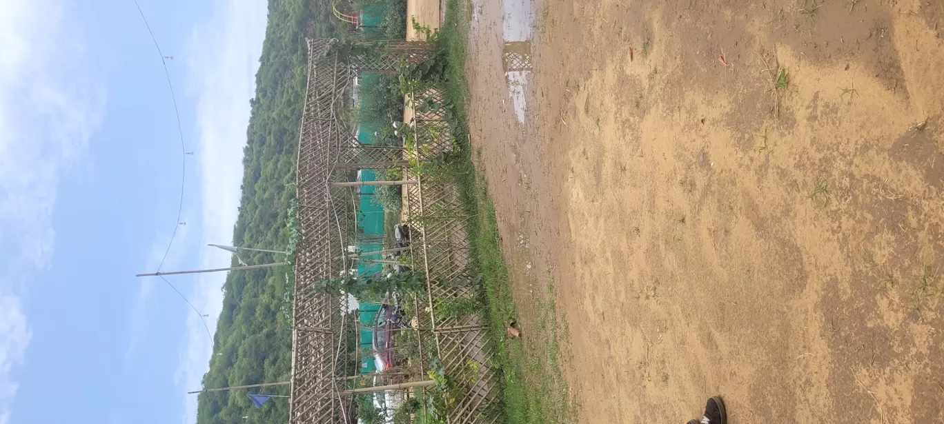 Photo of Rathi cafe pandala By Komal Gupta