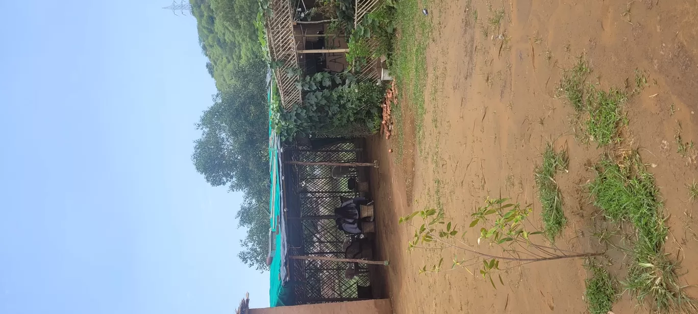 Photo of Rathi cafe pandala By Komal Gupta