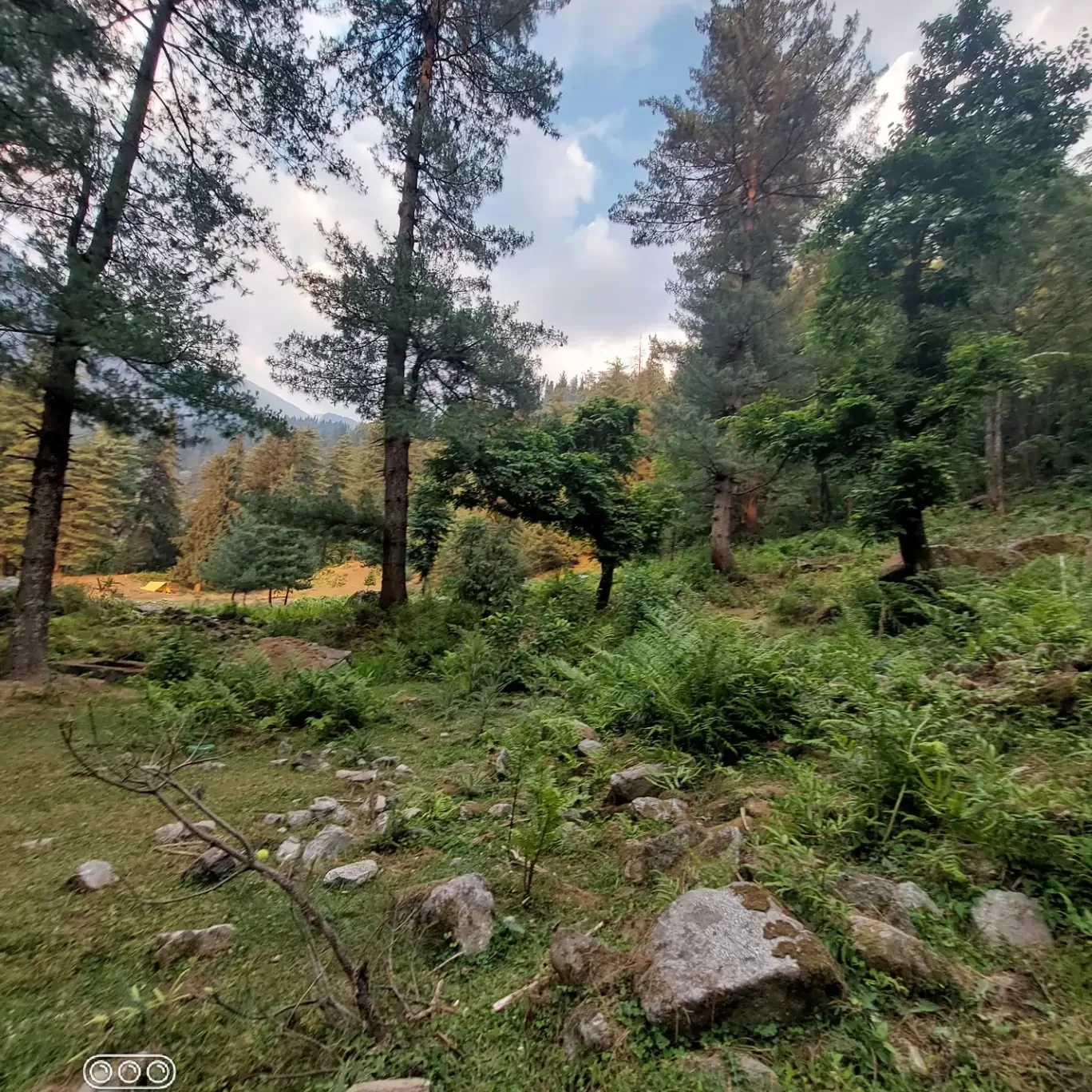 Photo of Haripur By wicked sunny 11