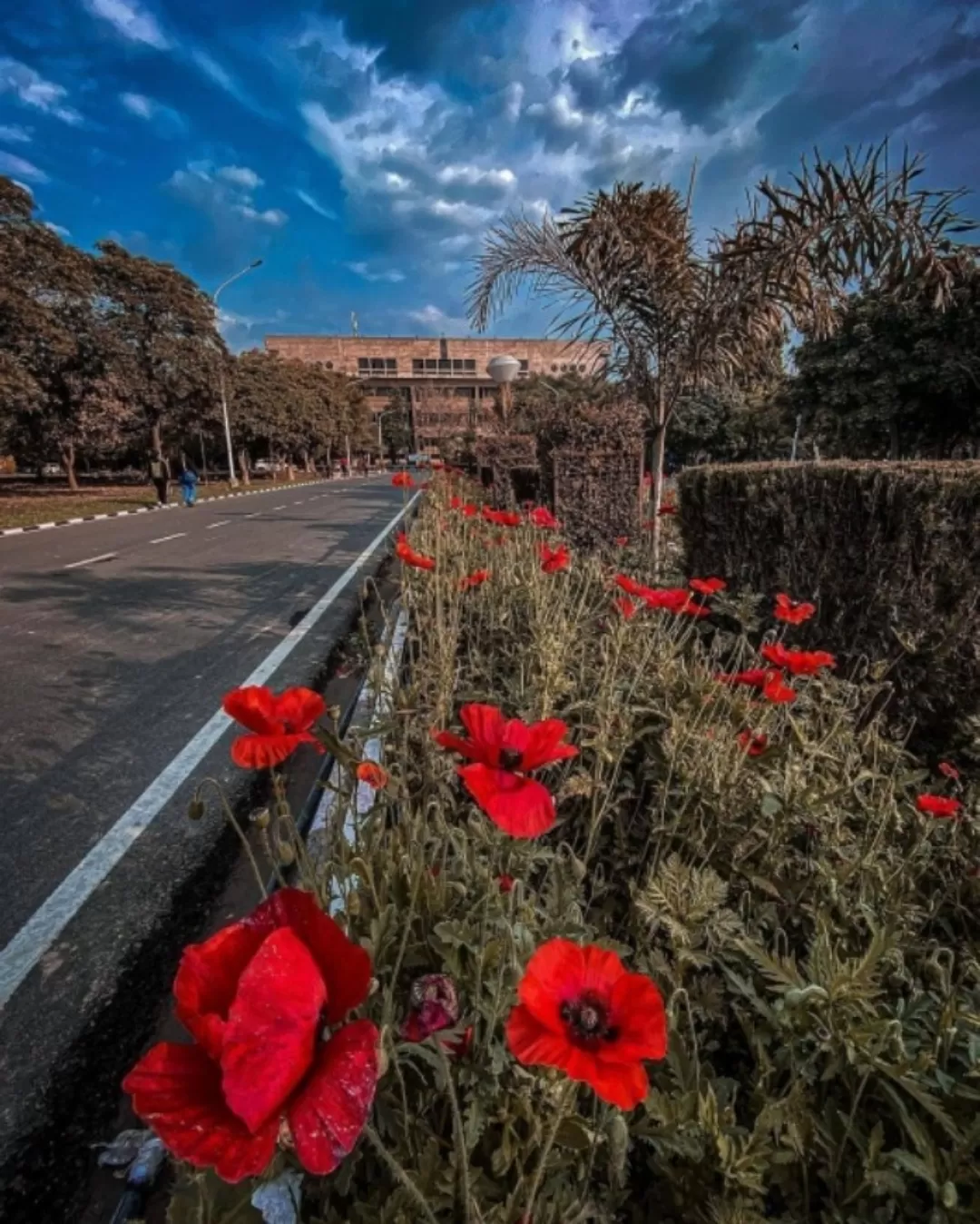 Photo of Putligarh Amritsar By Harpreet Virk