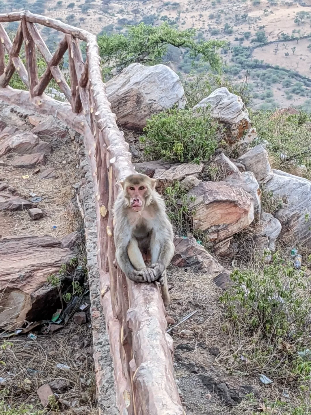 Photo of Harshnath By Rohit gadhwal